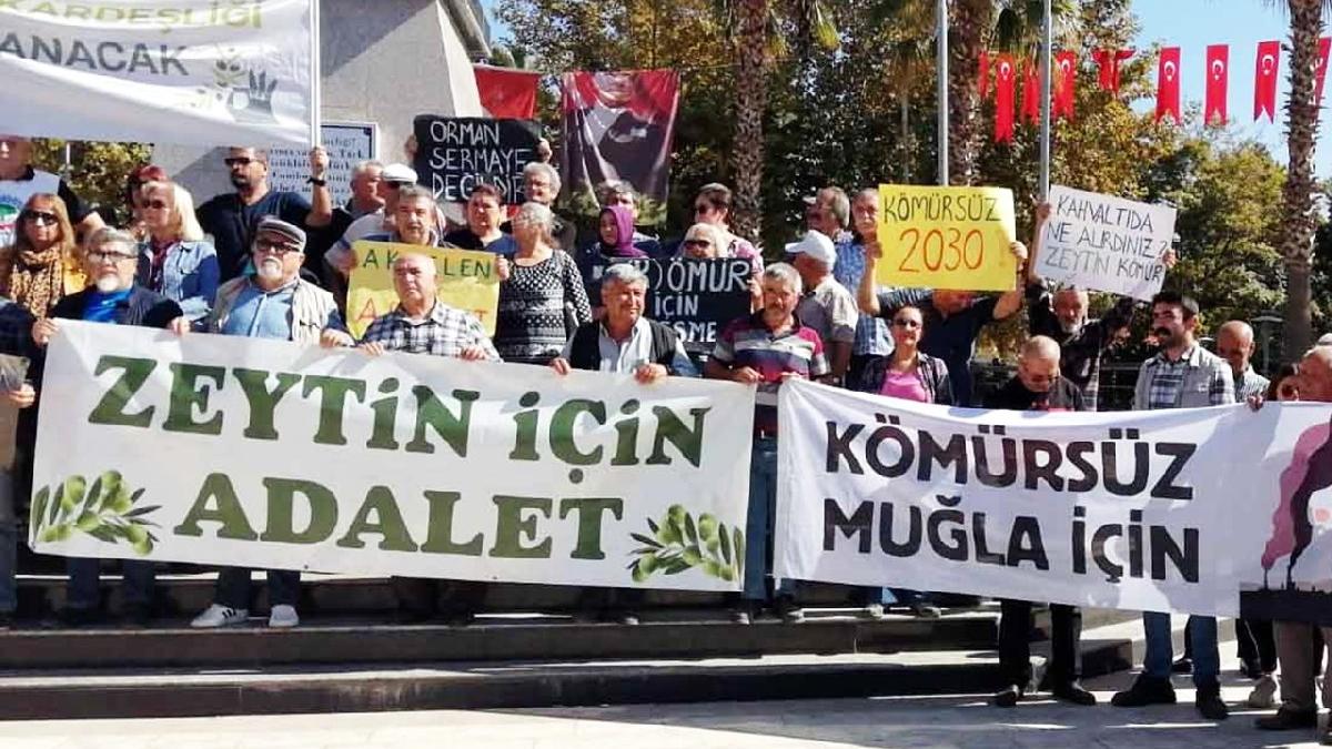 Akbelen ormanları için kömürlü zeytinli aksiyon