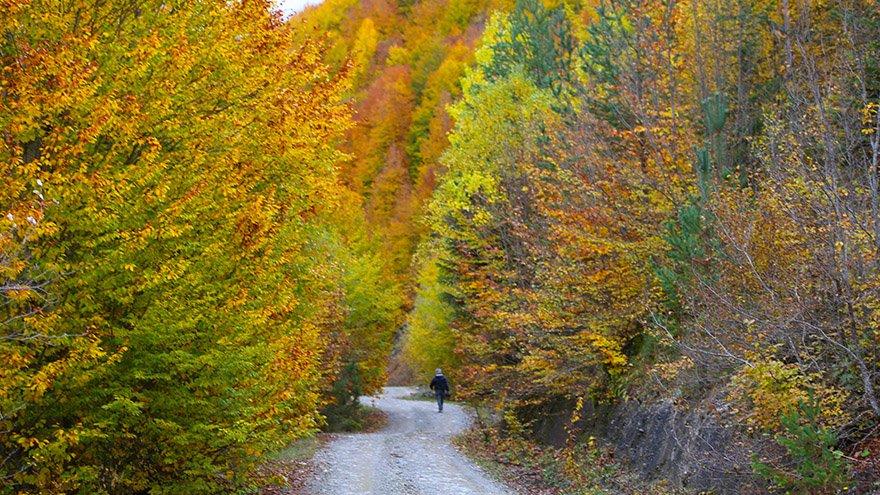 Ilgaz Dağı ziyaretçilerini sonbahar renkleriyle ağırlıyor