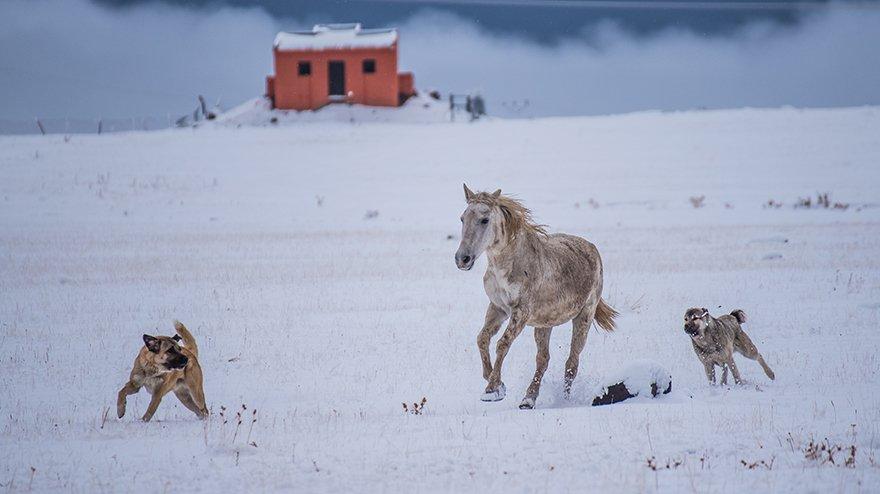 Kars’tan kar görünümleri