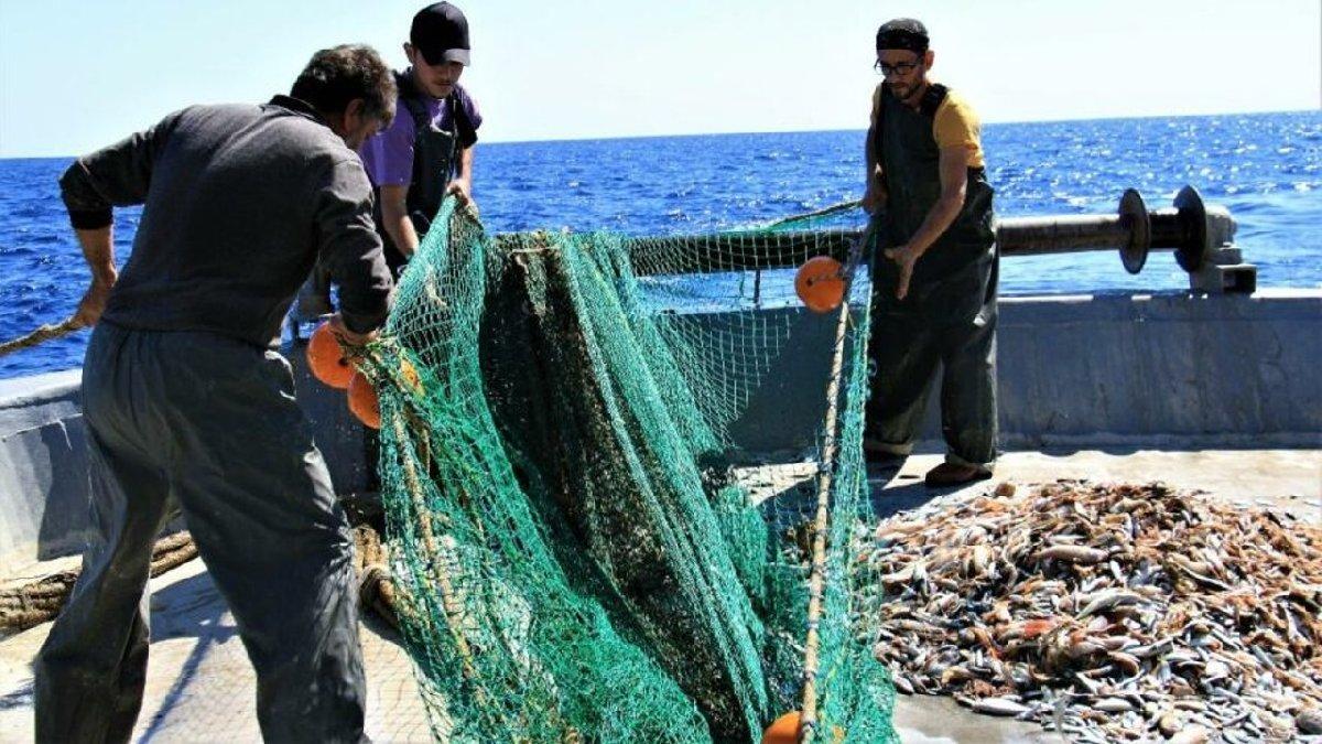 Nebati, kıyı balıkçılığı dayanaklarını açıkladı