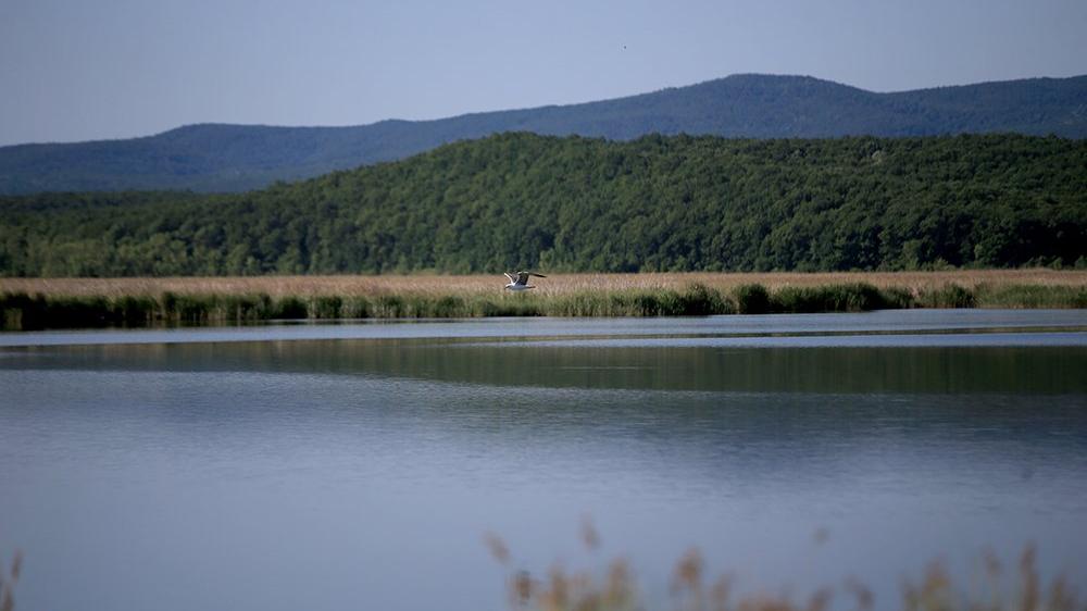 Trakya’nın gizli cenneti